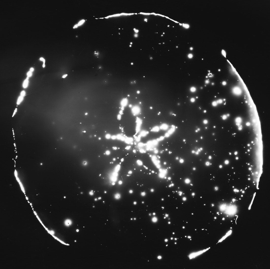 Kirlian Photography with Magda Kuca - Saturday 24 October